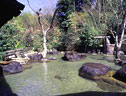 黒川温泉(熊本)