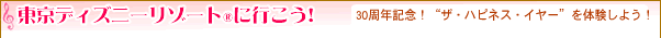 fBYj[][g(R)ɍs