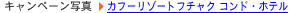 Ly[ʐ^
