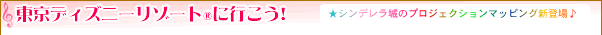 fBYj[][g(R)ɍs