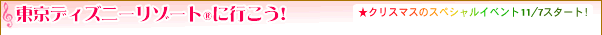 fBYj[][g(R)ɍs