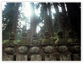 杉林と数多の石碑が守る「奥の院」へ続く参道