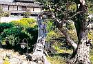 民宿　竹の城