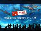 沖縄観光の定番♪美ら海水族館チケット付きプラン♪