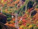 ◆寒霞渓◆紅葉の寒霞渓 11月