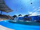 海の杜水族館