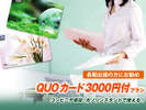 Quo3000