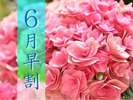 6月限定早期割引