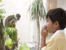 【ふれあい動物園】ホテル館内さまざまな場所で可愛い動物達に会えます。