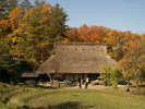 【Hida folk village】The historical museum could bring you back to old days.