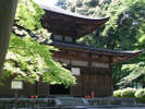 【天台寺門宗総本山】三井寺(園城寺)国宝の金堂をはじめとする数々の歴史遺産の豊富さは圧巻。
