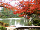 兼六園(秋の紅葉)