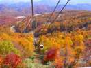 【秋】10月~11月にかけて楽しめる裏磐梯の紅葉-おすすめはゴンドラの乗って空からの紅葉狩り♪