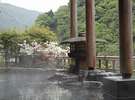 新緑の露天風呂です。景色は季節によりいろいろな表情をみせます。