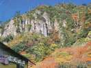 秋の立久恵峡は木々が色づき一面に広がる紅葉は絶景です!!全客室の大型一枚ガラスの窓から一望出来ます!