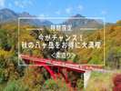 秋のプラン<素泊り>
