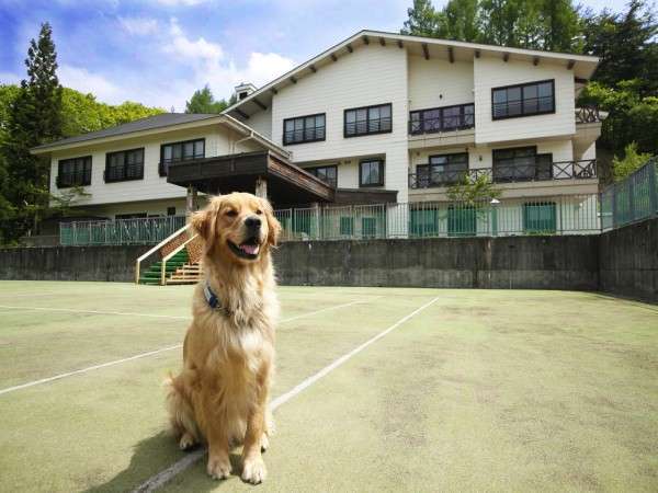 ステラフェリス本館
