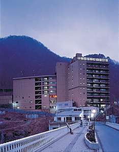 鬼怒川観光ホテルひがし館：写真