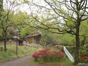 九州中央山地国定公園　市房山キャンプ場：写真
