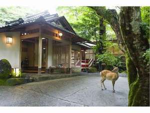 奈良・春日奥山　月日亭：写真