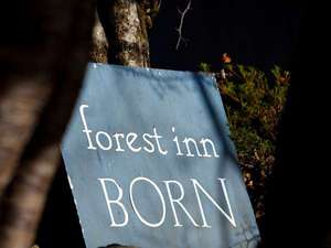 forest　inn　BORN：写真