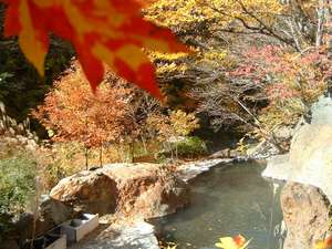 松川渓谷温泉滝の湯：写真