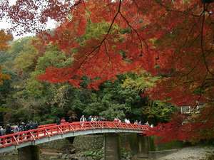 香嵐渓の紅葉