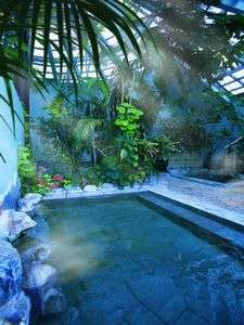 ホテルジャングルパレス   人気のジャングル風呂