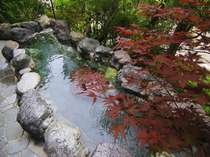 奥吉野・十津川の格安ホテル 湯泉地温泉　十津川荘