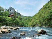 渓谷と大川荘 大川荘 プランをみる