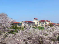 桜を眺めながらゴルフプレーをお楽しみいただけます。