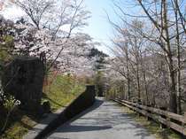 <b>熊本県黒川温泉</b>黒川荘温泉宿情報旅するなら熊本宿泊予約比較サイト <b>...</b>
