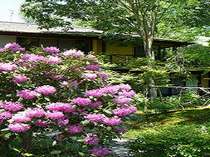 杖立・わいたの格安ホテル 小杉庵