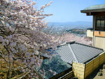 【桜に囲まれた当館】若草山の美しい桜に囲まれた当館は、春もまた人気のシーズンのひとつです。