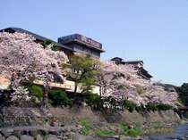 春の外観　桜と音信川。　是非，遊歩道の散策をお勧めします