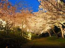 長瀞渓流沿い露天風呂のある宿 花のおもてなし長生館