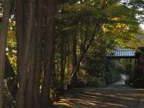 <b>鹿児島県</b>の宿泊プラン <b>霧島</b>湯之谷山荘