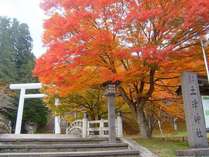【11月中旬】猪苗代町 土津神社