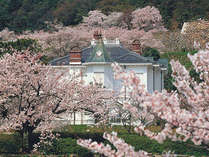 ■仁風閣と桜