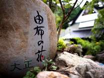 大正 由布の花