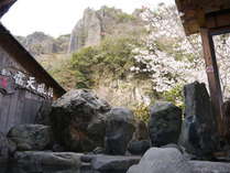 春の露天風呂に咲く山桜をご覧頂きながら絶景をお楽しみ下さい。