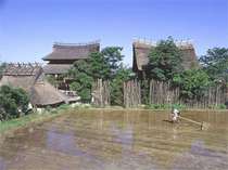 日本三美人の湯 <b>湯の川温泉</b> 松園 (01/08) - 島根県の宿泊プラン