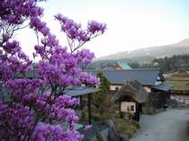 南阿蘇の格安ホテル 旅館みな和