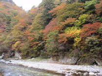 和泉屋から眺める秋の箒川