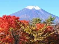 秋の富士山と紅葉は絶景です！