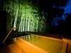 夜のライトアップされた大浴場の露天風呂は竹林がとても神秘的。