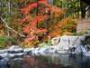 紅葉を望む高台の絶景露天風呂「百景花」