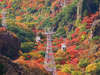 【寒霞渓ロープウェー】紅葉シーズンは山全体が秋色に♪