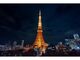 TOKYO TOWER CITY LIGHT FANTASIA`Spring Concerto 2024`̎ʐ^3
