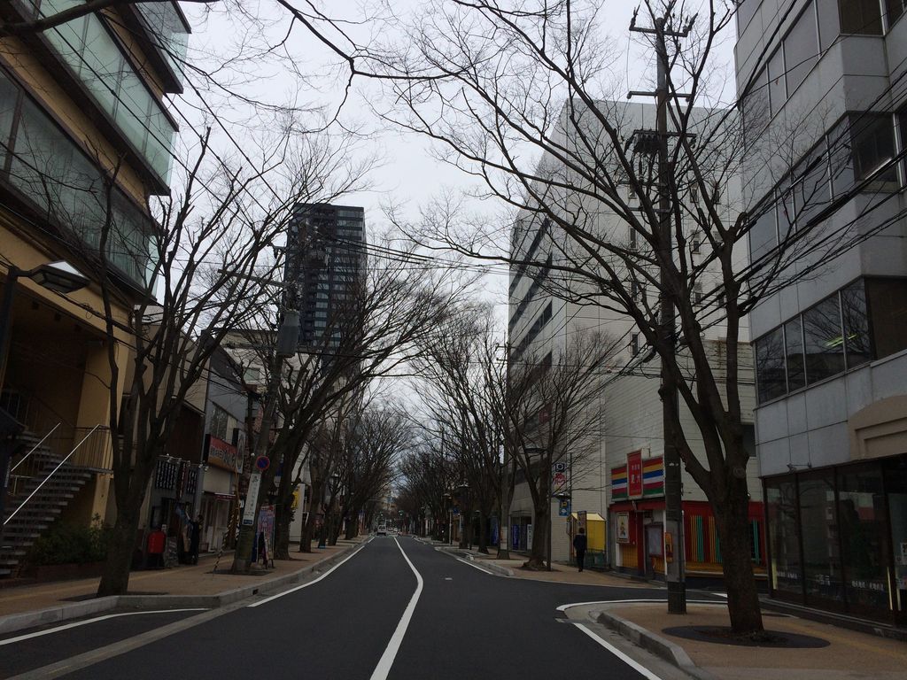 けやき通り